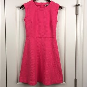 Loft Pink Dress